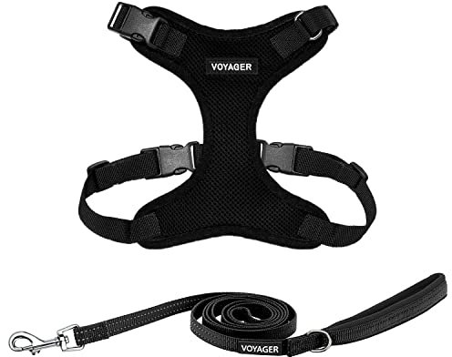 Voyager Step-In Lock Hundegeschirr, reflektierend, Hundeleine, Kombi-Set mit Neoprengriff, 1,5 m - Unterstützt kleine, mittelgroße und große Rassen, Welpen/Katzen von Best Pet Supplies - Schwarz, S