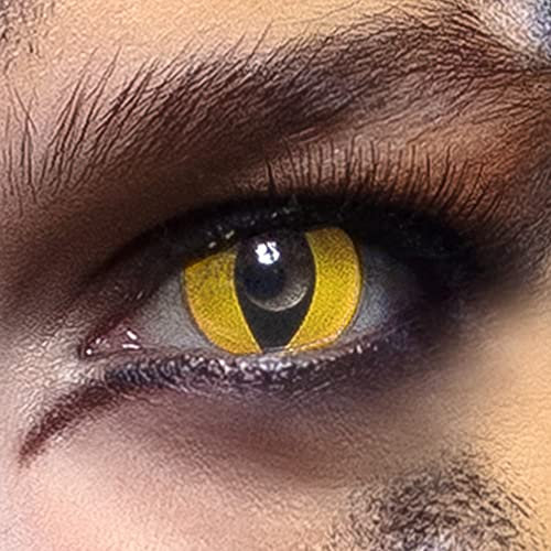 Boland 40119 - Lentilles de contact colorées chat sauvage, 2 pièces, lentilles hebdomadaires, tous les jours, carnaval, fête à thème, sans correction