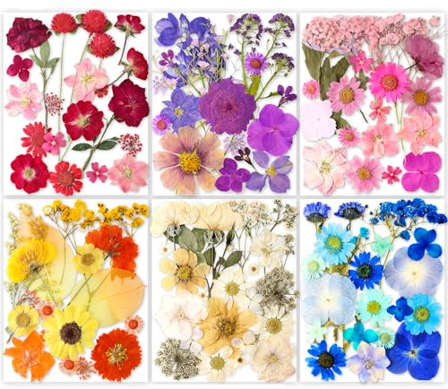YoothBro 221PCS Real Nature Dried Pressed Flowers for Resin Mold, Dry Pressing Floral with Butterfly Transparent Stickers Set for DIY Jewelry Making Nail Card Scrapbook Art Craft Eternity Summer