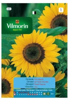 Kit 10 pz. semi girasole fiori giganti