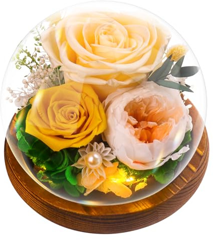 Touloube Rose Gifts for Women, Preserved Eternal Rose in Glass Dome, Real Flowers for Her, Forever Love Thoughtful Miss-You Present for Mum Wife Girlfriend on Birthday Mother's Day, Yellow