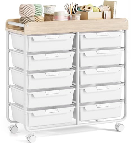 Rolling-Utility-Storage-Trolley-Cart-Craft-Organizer on Wheels with 10 Drawers & DIY Label Slot for Home, Office,Classroom, Make Up, 10 Drawers Art Supply Organizers, Craft Trolley, White