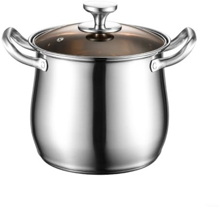 LVYXON Casserole à soupe en acier inoxydable de 22 cm avec couvercle en verre résistant à la chaleur, pour 3 à 4 personnes, facile à nettoyer