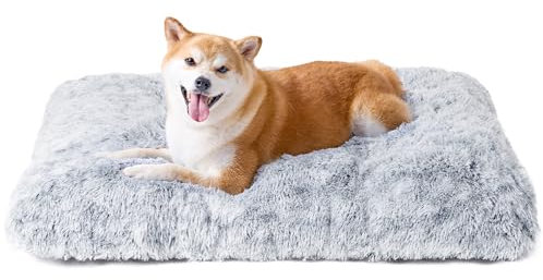 EHEYCIGA Flauschig Hundebett Kleine Hunde, Hundekissen Mittelgroße Hunde Waschbar, Kuschelig rutschfest Hundematte mit Langem Plüsch, Grau, 75x50cm
