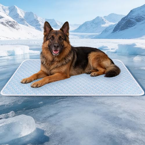 TUSRAC Tapis Rafraichissant pour Chien et Chat, sans Gel, 101 X 71 cm