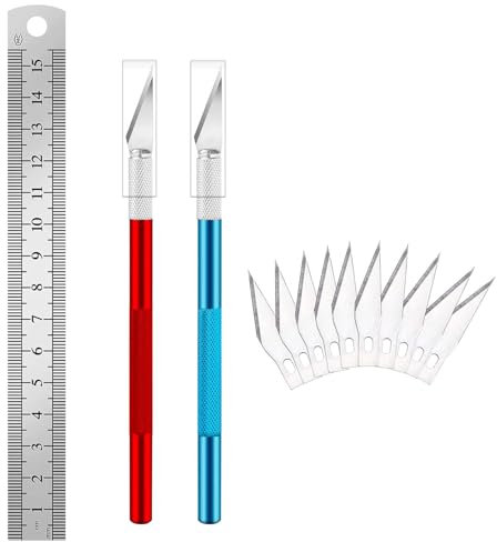 Canollo Skalpell Basteln Set mit 2 Stücke Bastelmesser Skalpell(Rot+Blau), 10 Stücke Skalpell Klingen, Edelstahl Lineal und Kunststoffbox, 145mm Bastelskalpell für DIY Art Work Cutting