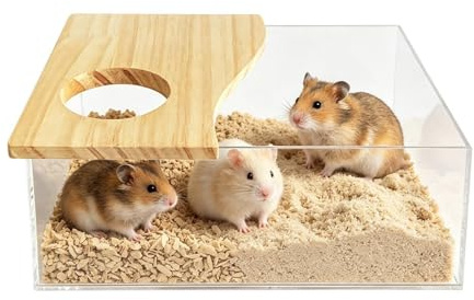 Bain de sable pour hamster – Bac à sable transparent | Petit bac à sable | 20 cm | Bain de sable gerbille | Bain sans poussière, facile à nettoyer – Pour le bain, le nettoyage des toilettes et la