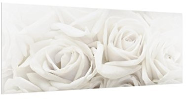 Bilderwelten Spritzschutz Glas - Weiße Rosen - Panorama Quer, HxB: 40cm x 100cm