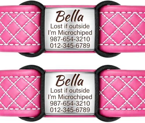 Lot de 2 Médaille Chien Silencieuse Personnalisée - Plaque Identification Acier Inoxydable Gravure Laser avec Silicone Anti-Bruit pour Petit Moyen Grand Chien et Chat - Silent Dog Tag