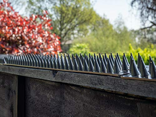Prikkastrip Eco Fence Wall Spikes Garden Security. Anti-Climb Cat And Bird Deterrent Intruder Deterrent. Made In The UK Pigeon Spikes Pest Control For Gardens - Grey 10 Pack - 20M to 30M