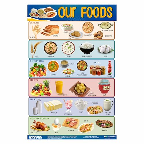 ESCAPER Our Foods Charts for Kids Learning (11.5 x 17.5 inches), Food Chart, Kids Study Material, Educational Charts for Kids, Kids Learning Books, Kids Books