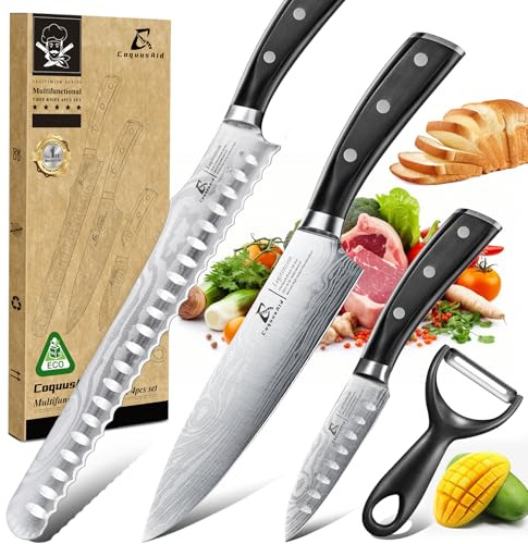 CoquusAid Kitchen Knives Set, 4 PCS Professional Chef Knife Set, Razor Sharp High Carbon Stainless Steel Knife Set, Ergonomic Handle Design, Ideal for Everyday Home Use, Perfect Gifts for Kitchen