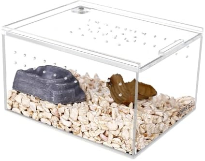 AMYSTY Terrario Reptiles Insectos Caja De Cría De Terrario For Reptiles Pequeños Que Viven En El Suelo Terrario Caracoles(40x30x15cm)