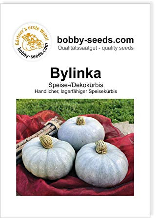 Bylinka Kürbissamen von Bobby-Seeds Portion