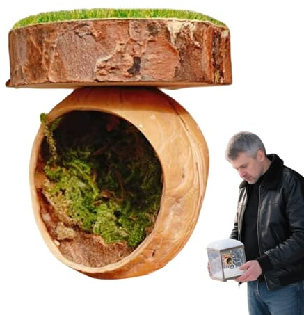 Hoppspindel Dekoration Hoppspindel Terrarium Inredning | Handgjorda Tillbehör För Reptiler Och Amfibier Magnetiska för Reptiler Taranteller Mantis Bur