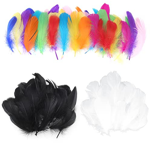 GoldRock 300 Stück Bunte Federn zum Basteln Deko, 100 STK Bastelfedern Weiß, 100 Feder Schwarz,100 Federn Bunt für Traumfänger, Indianer Kopfschmuck Kinder, Bastel Federn Zubehör Kopfschmucksfedern
