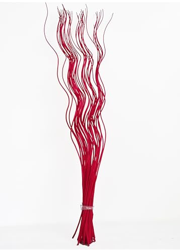Homestreet Ramitas Altas de Sauce Rizado en Espiral, Metálicas Coloridas Naturales Secas Teñidas Exóticas, Decoración del Hogar Ting Arreglo Floral Exposición, Ramo de 40 Piezas, 120cm de Largo para