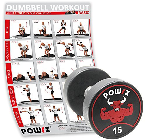 POWRX Professionell Rundhantel Einzeln inkl. Workout I Gummi Kurzhantel Beschichtung GERUCHSNEUTRAL 5-30 kg I Verchromt und gerändelt I Studioqualität (15.00)