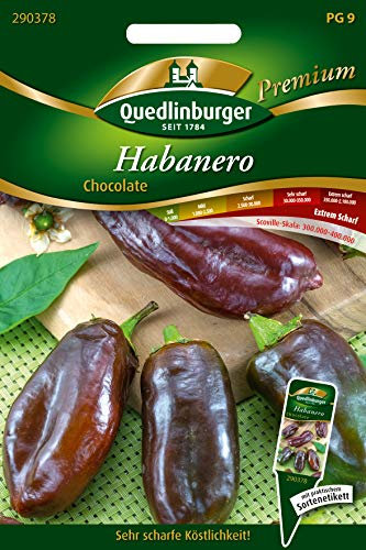 Quedlinburger 290378 Chili Habanero Chocolate (Chilisamen)