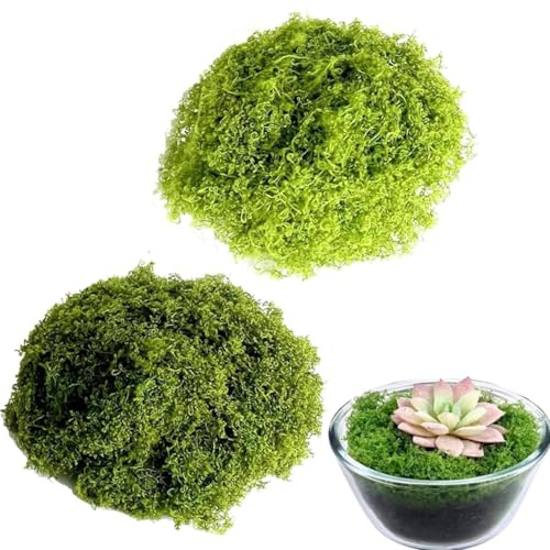 MusgoArtificial para Decoración 100g,Paquete 2 Colores,Verde Claro 50g + Verde Oscuro 50g,Simulación de MusgoNatural para Manualidades, Decorar Pared, Jardín, Terrario, Pesebre, Acuario y Maquetas