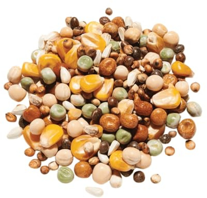 Countrywide Premium Gold Medal Pigeon Food 20 kg - High Energy & Protein Wheat-Free Seed Mix For Pigeons - Rich In Nutritious Oils, Vitamins and Minerals - Dust Free