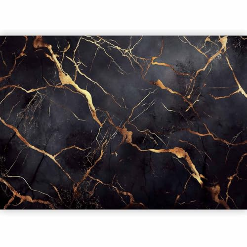 murando Fotomurales Piedras 350x256 cm XXL Papel pintado tejido no tejido Decoración de Pared decorativos Murales moderna Diseno Fotográfico Marmol Abstracto 3D Negro f-C-0456-a-a