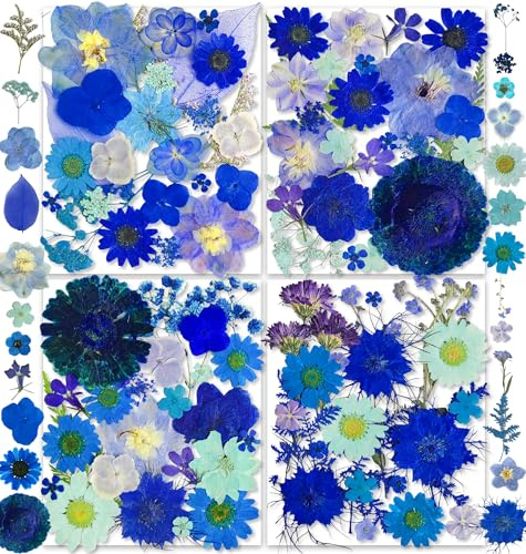 30 Types 147PCS Blue Dried Pressed Flowers with Butterfly Stickers - Youthbro Real Nature Flowers Herb Set for Resin DIY Jewelry Candle Soap Vase Making Nail Card Scrapbook Art Craft Floral Decors