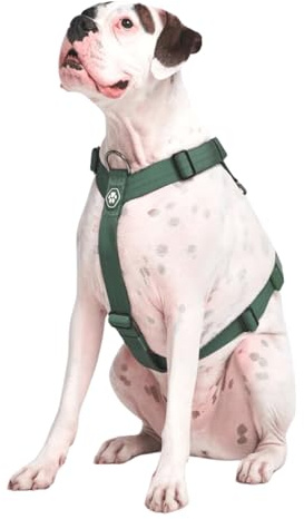 Spark Paws Large Dog No-Pull Harness, Halter Design with Front Clip, Durable and Heavy-Duty for Big and Strong Breeds - Green, M