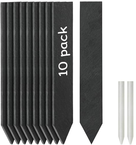 Poeland Lot de 10 étiquettes pour plantes en ardoise - Réutilisables - 20 x 3 cm