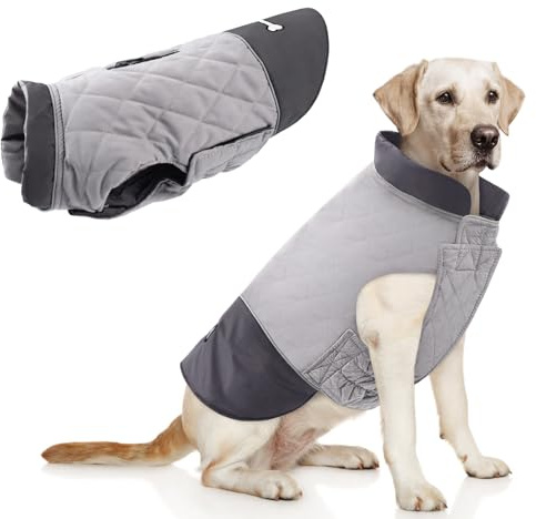 Idepet Abrigo para Perro A Prueba De Viento Chaqueta Cálida De Invierno, Ropa para Perros con Traje De Nieve Anti-Nieve para Perros Pequeños Medianos Grandes con Agujero De Arnés (Gris, X-Large)