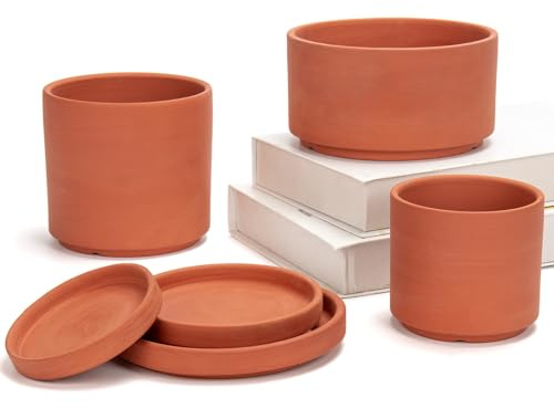 Briful Lot de 3 pots de fleurs en terre cuite avec trou de drainage - Pour plantes succulentes et herbes aromatiques - Idéal pour les plantes, le bricolage, les cadeaux de mariage