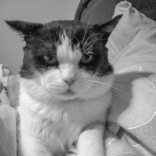 Limpiador Facial Electrico - Exfoliador de Piel y Extractor de Puntos Negros, Peeling Ultrasónico Facial, 4 Modos, Bateria Recargable - Máquina Skincare Profesional, Skin Scrubber