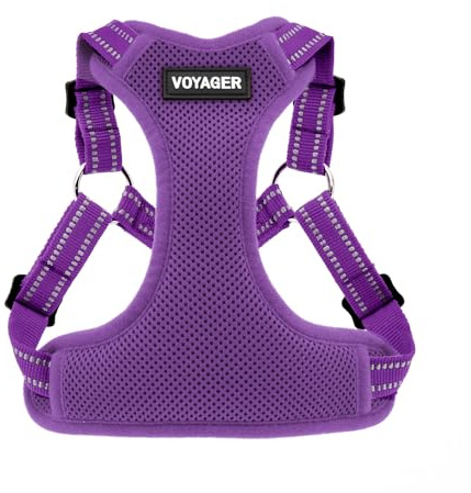 Best Pet Supplies Voyager Adjustable Dog Harness with Reflective Stripes for Walking, Jogging, Heavy-Duty Full Body No Pull Vest with Leash D-Ring, Breathable All-Weather - Harness (Purple), M