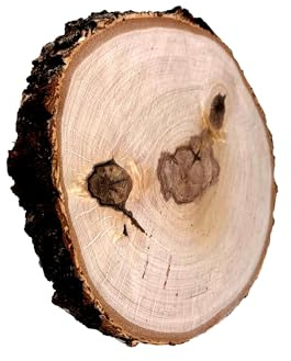 Wooden World – Träskiva i naturträ (Ø 20–24 cm, 2,8 cm tjock), rustik dekoration med bark, slät på båda sidor, för målning, gravyr, DIY, hantverk