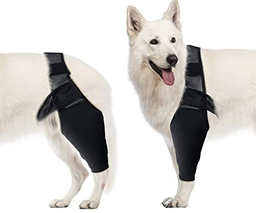 Coudière pour Chien, Genouillère de Compression pour Chien, Soutien du Coude et de L'épaule, Dysplasie, Arthrite, Callosités du Coude, Plaies de Pression, Luxation de L'épaule(M)