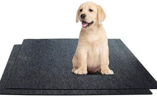 rflaueo 1pc 70 * 120cm Dog Crate Kennel Pad Mat Liner to Protect Floors for Training, Under Pet Cage Mat, Crate Tray to Protect Floors, Kennel Pad, Absorb, Waterproof, Non-Slip, Washable(U260-1)