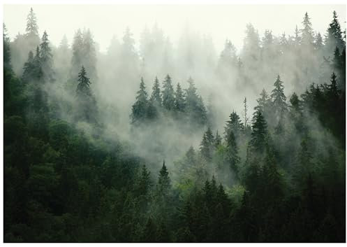 WallArena - Papel pintado fotográfico de fieltro, diseño de bosque, niebla, paisaje, verde naturaleza, árboles, 400 x 280 cm, para salón, dormitorio, efecto 3D, incluye pegamento