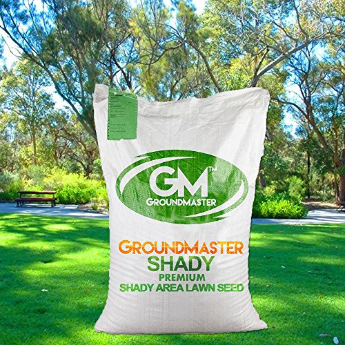 GroundMaster Dark Lawn Area Grass Seeds – 25kg Premium Grass Seed Mix – Fast-Growing Lawn Mix for Shaded Gardens - Pet Friendly, Shade Tolerant Seeds for UK Climates