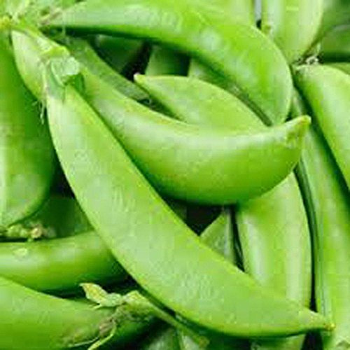 Guisantes, Guisante mollar de la semilla, orgánico, no MG, 20 semillas por paquete, guisantes una ◾Green