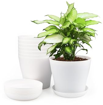 KINGLAKE 8 Pièces 14 CM Pots Plastique Plantes, Cache Pot Interieur Exterieur, Pot de Fleur avec Plateaux, Convient aux Semis, Cactus, Plantes Succulentes, Orchidées, Herbes -Blanc