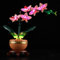 GEAMENT LED Light Kit Compatible with LEGO Mini Orchid Building Blocks Model - Lighting set for Botanical Collection 10343 (Model Set Not Included)