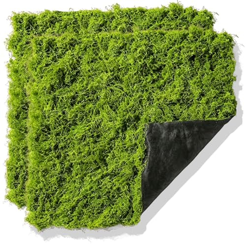 BRGD 2 Piezas 100x100cm Alfombra de Musgo Artificial, Artificial Musgo Artificial Plantas Verdes para Manualidades, Macetas, Patios, Jardines, Acuarios y Paisajismo
