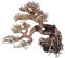 Amtra - Oriental Wind 7 Holz, handgefertigt, für Aquarien, 30X13X23 cm