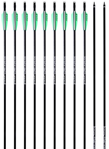 PANDARUS Archery 32inch 8mm Fiberglass Hunting Practice Arrows with Replaceable Arrowhead Spine 500 for Recure and Compound Bow Target (Pack of 12)