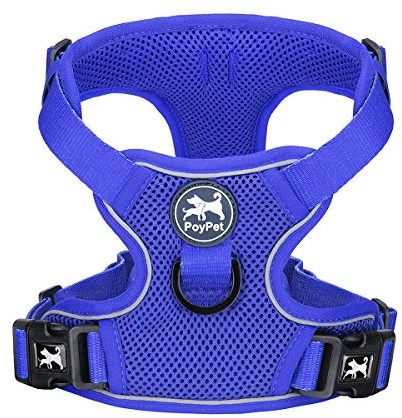 PoyPet Reflektierendes, weiches, atmungsaktives Hundegeschirr aus Mesh, erstickungsfreie, doppelt gepolsterte Weste mit verstellbarem Hals und Brust(Königsblau,M)