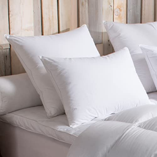 DODO | Oreiller 90% Duvet d'oie Medium 50x70 I Soutien Équilibré et Confort Douillet I Enveloppe 100% Coton Percale I Garnissage Naturel de Qualité I Fabriqué en France