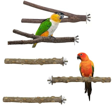 Wood Bird Perches Platform,Ompinda 5 Pieces Natural Wood Bird Parrot Perch Stand Parakeet Climbing Standing Branches for Parrotlets Budgies Cockatiels Parakeets Lovebirds