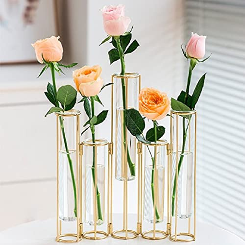 XUSHAN Test Tube Vase with Metal Frame, Hinged Vases for Centerpieces, Glass Flower Vase for Table with 5 Test Tubes, Bud Display Set for Home Wedding Decor