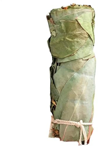 Bastoncini di incenso all'eucalipto, 10,2 cm, per rimuovere gli odori, articoli per la casa, purificare l'aria per casa, meditazione, yoga