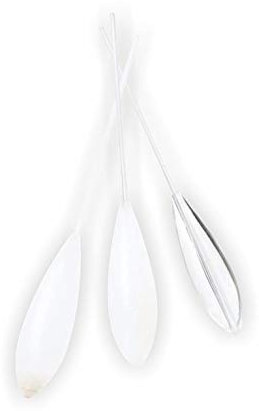 Fladen Bomb Float, Sbirolino mit Gewichten von 15g - 35g, DREI Varianten verfügbar schwimmend, langsam sinkend und sinkend (schwimmend, 30g)